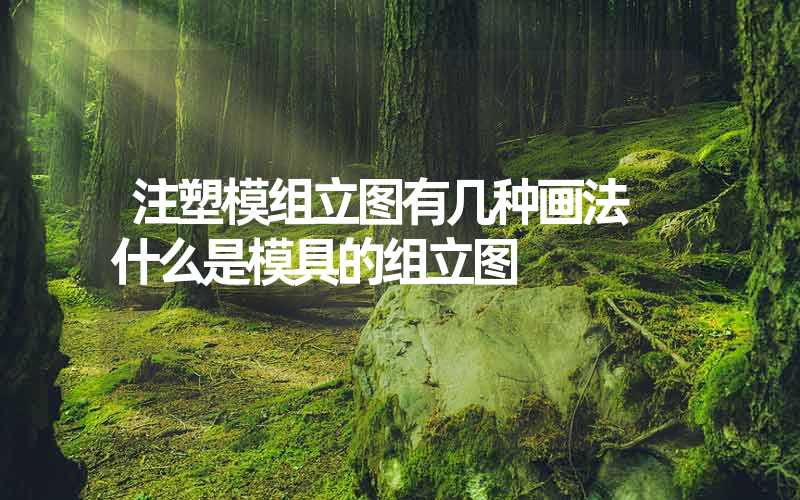 注塑模组立图有几种画法 什么是模具的组立图